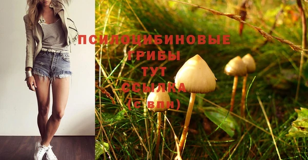 меф Богородск
