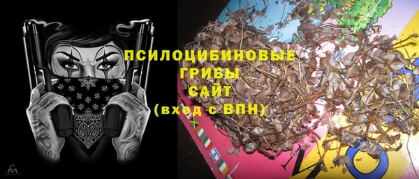 ПСИЛОЦИБИНОВЫЕ ГРИБЫ Богородицк
