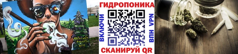 Конопля ГИДРОПОН  Велиж 
